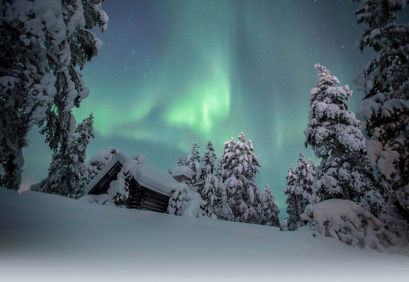 Ultimate Lapland Adventures 2026 Zappi Travel Group Ultimate Lapland Adventures 2026 Zappi Travel Group